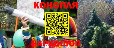 гидра Можга