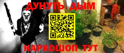 гидра Можга