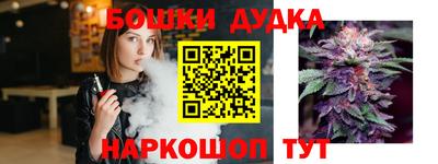 гидра Можга