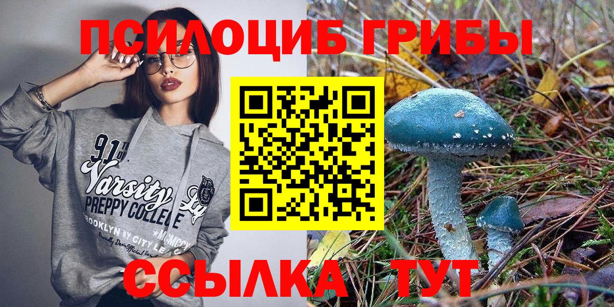 Галлюциногенные грибы Psilocybine cubensis  где найти наркотики  Холмск  Вход с VPN 